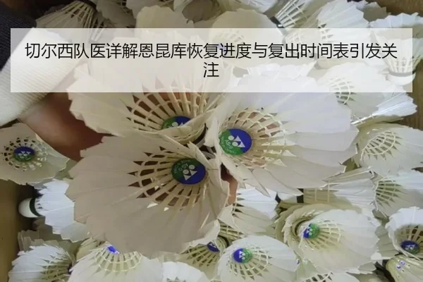 切尔西队医详解恩昆库恢复进度与复出时间表引发关注